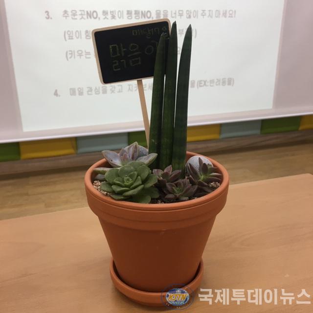 5-1 보도자료 사진(인천 중구 드림스타트 아동과 공기정화식물 가꾸기 진행).JPG