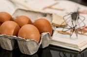 축산물 수급안정 대책…신선란·달걀가공품 한시 관세 면제